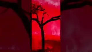 JINN MUSIC - ICYTWAT 