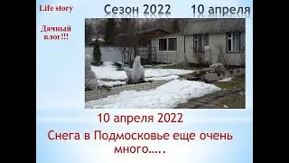 10 апреля 2022 года. Снега в Подмосковье еще очень много....