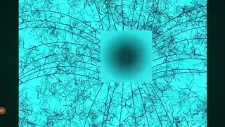 Entering The Wobblebox Heart 