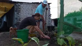 Перепелов будем убирать. Посадили Жасмин.
