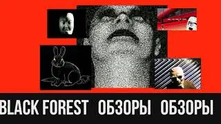 ОБЗОРЫ (СПЕЦИАЛЬНЫЙ ВЫПУСК) МОЯ ФУТБОЛЬНАЯ АТРИБУТИКА