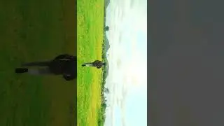 em Aypoyave 👰‍♀️🫵...#trending #love #viwes #status #youtube #nature #ytshort #india #viarl #popular