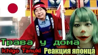 Ichigo Tanuki reaction【Japanese】Трава у дома (