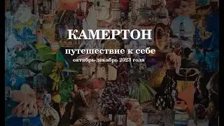 О программе Камертон