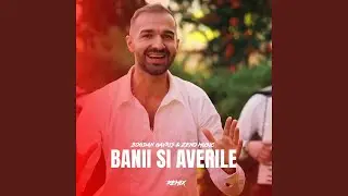 Banii si Averile (Remix)