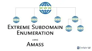 Extreme Subdomain Enumeration/Scanning on Windows : OWASP Amass