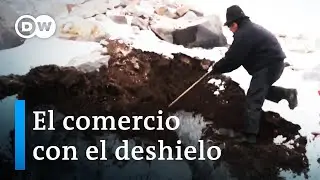 El último hielero de Ecuador | DW Documental