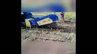 Копаем чеснок. Самый быстрый способ!