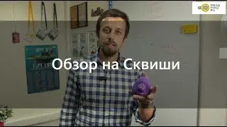 Обзор на Сквиши - Совместная закупка оптом