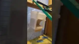 الروتين اليومي طيور البادجي طيور الحب #1 🐦