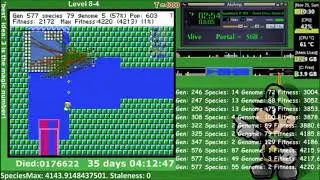LuigI/O's completion of 8-4 but it's perfectly timed