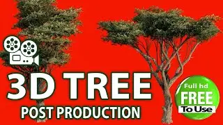 3d tree green screen in wind for post production🔔  full hd 1080 green screen buy in telegram bio