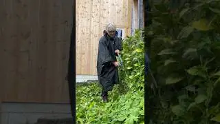 The Pyjama Gardeners 2024 Edition. Part 10. #arnecarlos #gardening #gardendesign