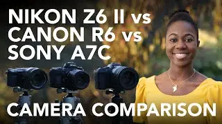 Best Entry Level Professional Full Frame Video and Still Camera