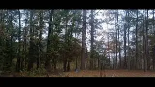 Blessing Of Rain