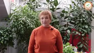 Меры предосторожности в питомнике Плодовое