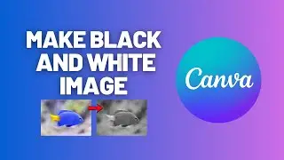 How to Convert a image to Black & White in Canva
