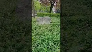 #как