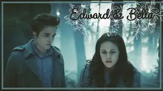 Edward & Bella | Love in the Dark - Adele ✨