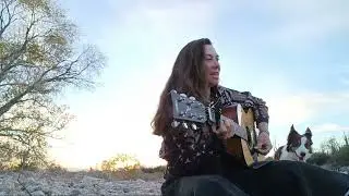 Wanderer's Lullaby ~Sonoran Desert Seranades