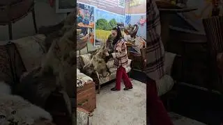 Шкура медведя как ковер к дивану из шкуры буйвола 