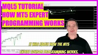 MQL5 TUTORIAL - HOW MT5 EXPERT ADVISOR PROGRAMMING WORKS