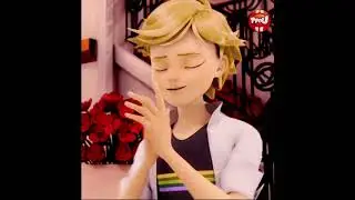 Песня Адриана Агреста Супер Кота