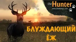 theHunter Classic  или как Ёж по лесу плутал