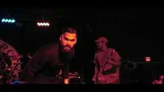 SNAKE FATHER - Live Performance Music Video