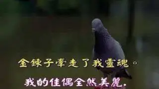 佳偶 (雅歌四章良人)