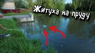 ВИДАЛ ВСЁ! ЖИТУХА НА ПРУДУ. Трофеи, Разборки, Рыбаки Гуляки. 2 дня на берегу.
