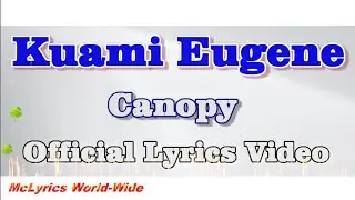 Kuami Eugene Canopy Lyrics Video