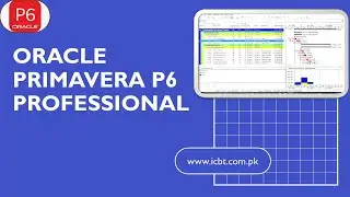 Primavera Introduction for Beginners I Primavera Software Overview