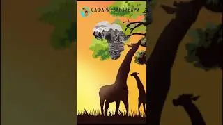 Есть еда? А если найду? 🦁 Лев заглядывает в джип с туристами. Туры в Африку #shorts