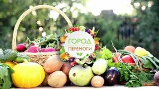 👩‍🌾Правильний догляд за кімнатними рослинами навесні 🪴▶ Город Перемоги 42 Серія ▶ 6 соток