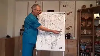 Что такое пептиды   просто о сложном  Пептиды Аврора