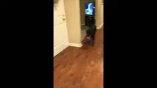 Kenzie Edit Jumps