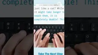 Day 74 typing test / hard challenge #shorts #viral #technicalparchhai