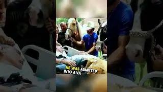 This soldier had an unusual dying wish 🥺