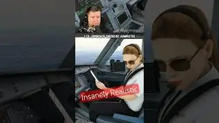 Real People on ATC, Flight Simulator vectoring to Vienna 