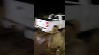 My homies truck got stuck