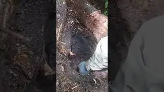 достаем коробки