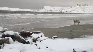 Баренцево море на катере. Териберка