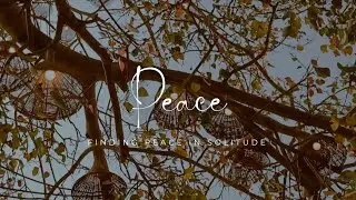 Peace - A Short Story