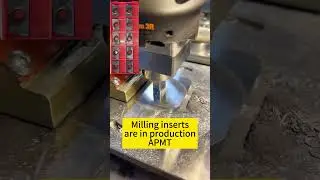 Have you used this insert? 