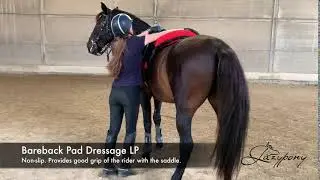 Lazypony's Bareback Pad Dressage