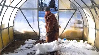 НУЖНО ЛИ ЗАБРАСЫВАТЬ СНЕГ В ТЕПЛИЦУ? Увлажнение почвы талым снегом
