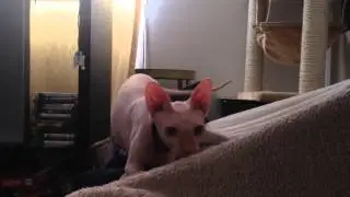 Good morning Smeagol