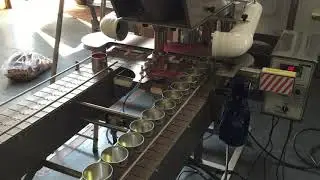 Envasadora de botes automatica.