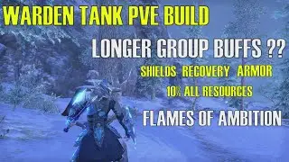 Warden Tank PVE Build ESO: Paladin of Kyne (Flames of Ambition)